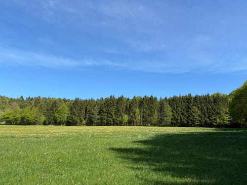 Weissingkuppe - Zwei Brüder - Maximiliansgrotte