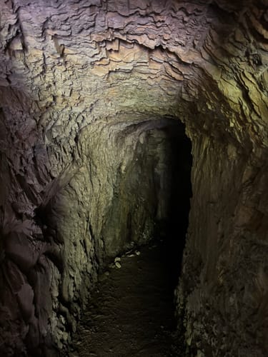 Altlayer Schweiz (Traumschleife)