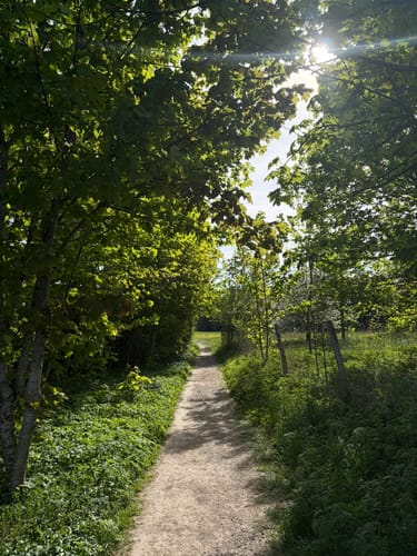 Tutzing - Deixlfurter See Rundwanderung