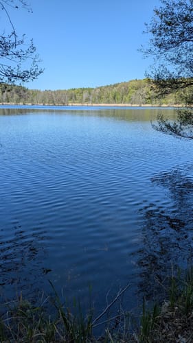 Zum Plötzensee