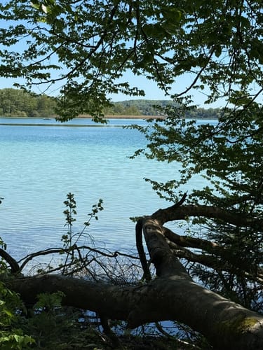 Rundwanderweg Wörthsee