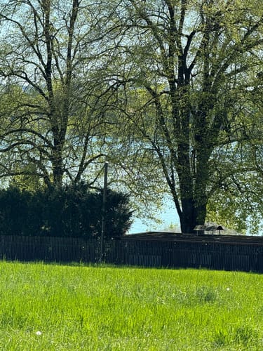 Rundwanderweg Wörthsee