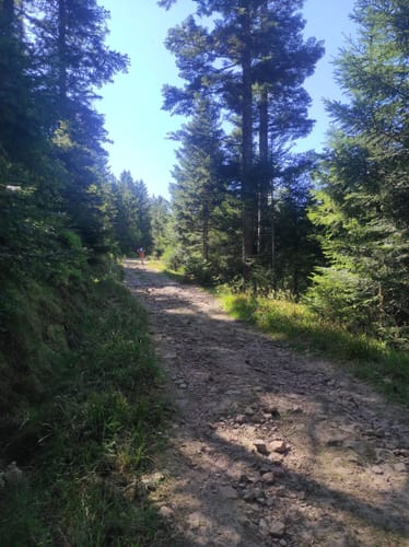 Badener Höhe ab Sand