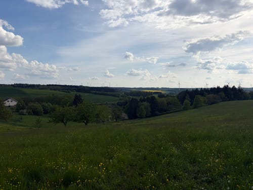 Kastellen - Geierlay Hängebrücke - Burgruine Balduin