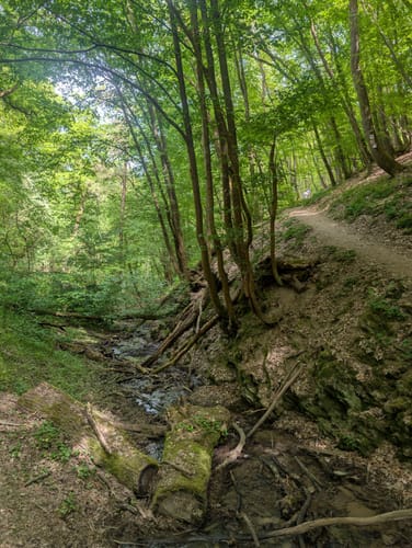 St.Goar Höhenweg Variante