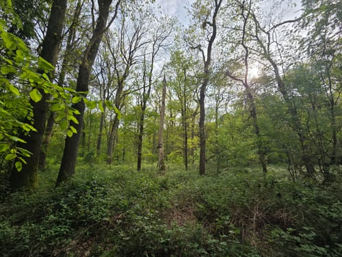 Zur Dünenlandschaft und zum Schwarzen Wasser
