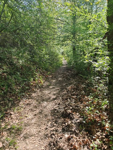 Dreifürstensteig (Premiumwanderweg)