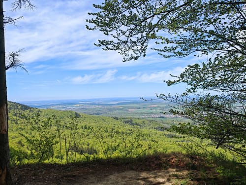 Dreifürstensteig (Premiumwanderweg)