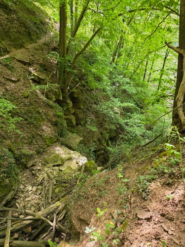 Margaretenschlucht-Weg