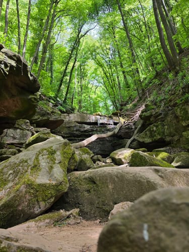 Margaretenschlucht-Weg