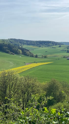 Premiumwanderweg: Waldkappeler Berge P17