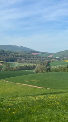 Premiumwanderweg: Waldkappeler Berge P17