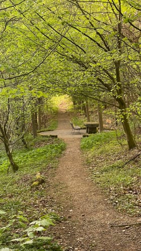 Premiumwanderweg: Waldkappeler Berge P17