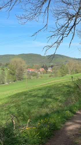 Premiumwanderweg: Waldkappeler Berge P17