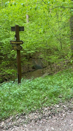 Premiumwanderweg: Waldkappeler Berge P17