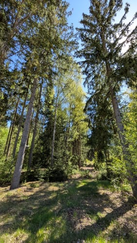 Um den Freizeitsee Dießfurt