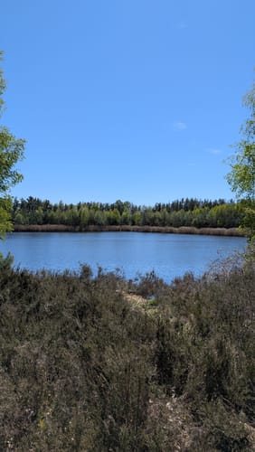 Um den Freizeitsee Dießfurt