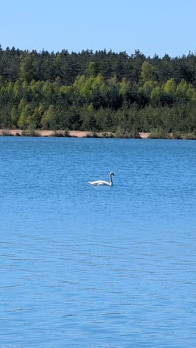 Um den Freizeitsee Dießfurt