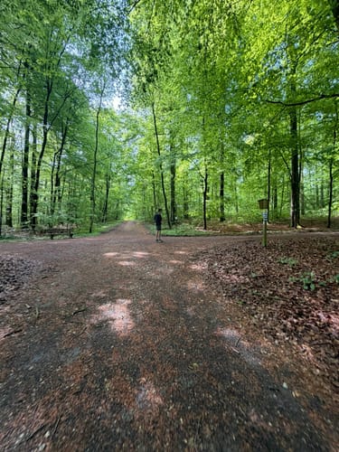 Runde bei Bad Rothenfelde