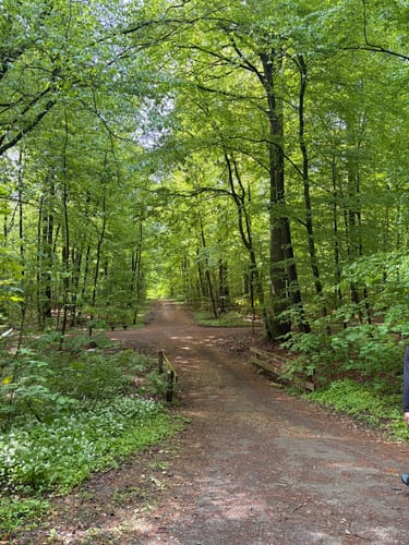 Runde bei Bad Rothenfelde