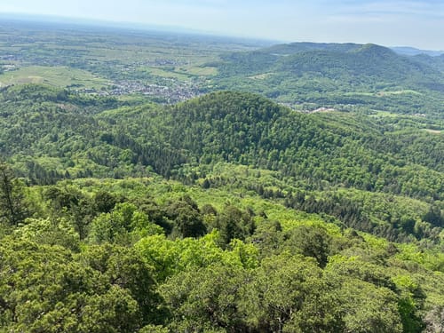 Zum Orensfels und der Landauer Hütte