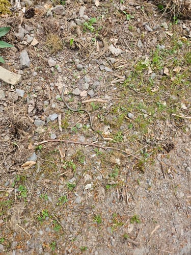 Auf die Konstantinhöhe bis zum Keschnansz Felsen