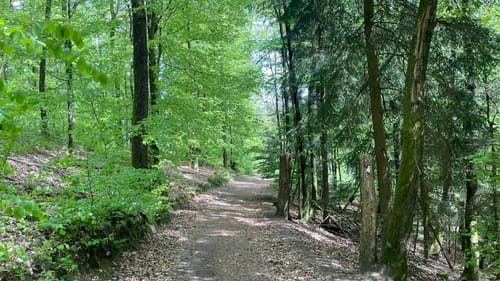Naturpark Varusturm