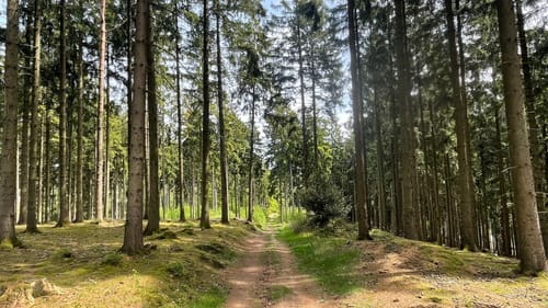 Naturpark Varusturm
