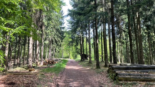 Naturpark Varusturm