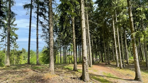 Naturpark Varusturm