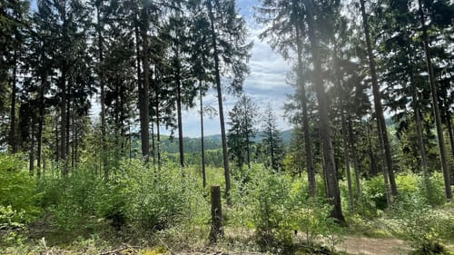 Naturpark Varusturm