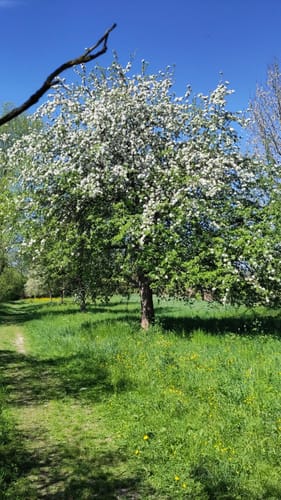 Entlang des Isenkanals