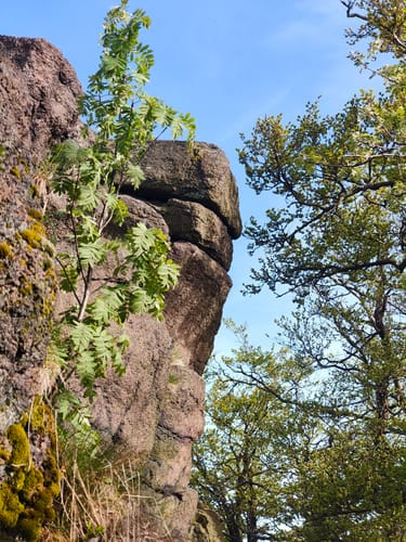 Großer Hermannsberg