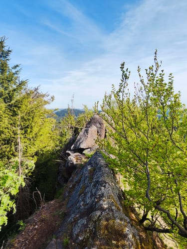 Großer Hermannsberg