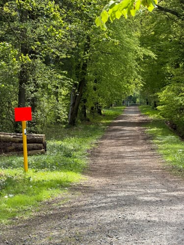 Krebsburger Wald Rundweg Nr 3