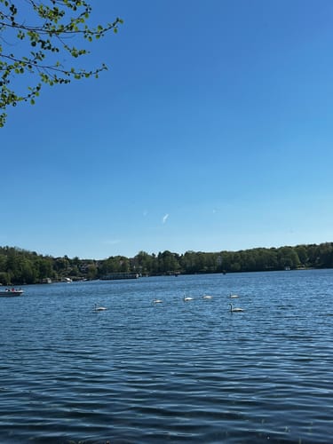 Flakensee