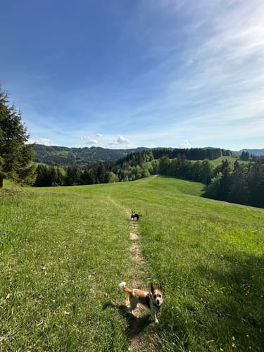 Von Bolsternang zum Schwarzen Grat