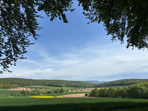 Gröninger Feld (HM 4)
