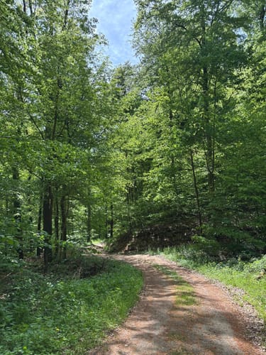 Gröninger Feld (HM 4)