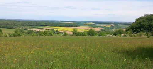 Alexanderturm Runde
