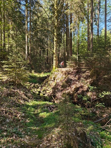 Lochbachpfad (Extratour)