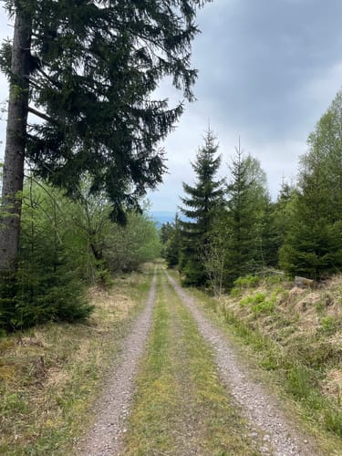 Bermersbacher Rundweg