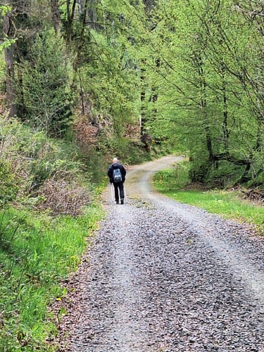 Frau Holle (Premiumwanderweg)