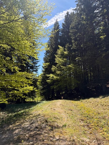 Um den Blaikenberg zur Finstermünz-Alm ab Lenggries