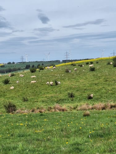 Frau Holle (Premiumwanderweg)