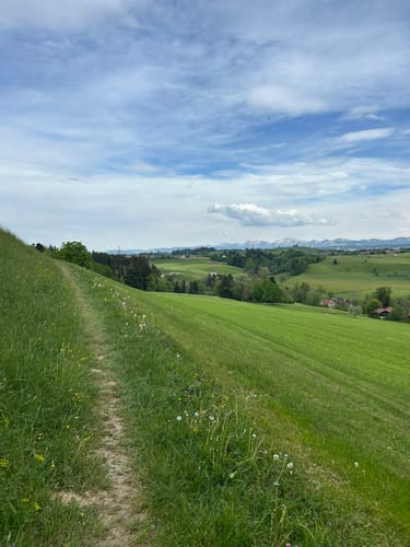 Lindenberg und Kinberg Runde