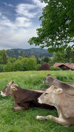 Lindenberg und Kinberg Runde