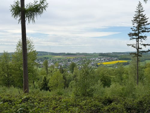 Im Luerwald bei Neheim A4
