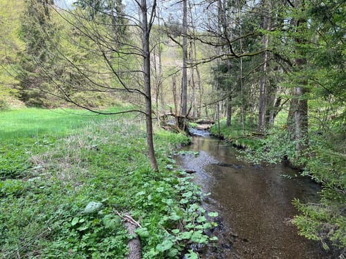 Mühlenweg rund um Buckenreuth und Guttenberger Hammer