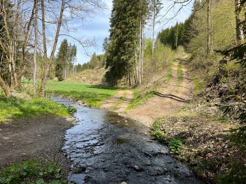 Mühlenweg rund um Buckenreuth und Guttenberger Hammer